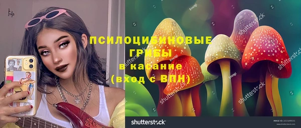 соль курить ск Алексеевка