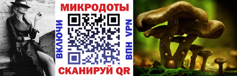 MEGA ONION  Байкальск  Галлюциногенные грибы Psilocybine cubensis 
